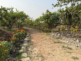 Dragon Fruit Farm Stay