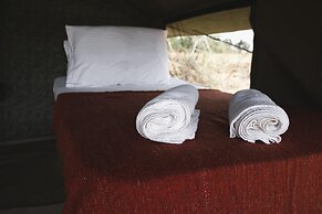 Yala Mobile Camping - Inside the Park