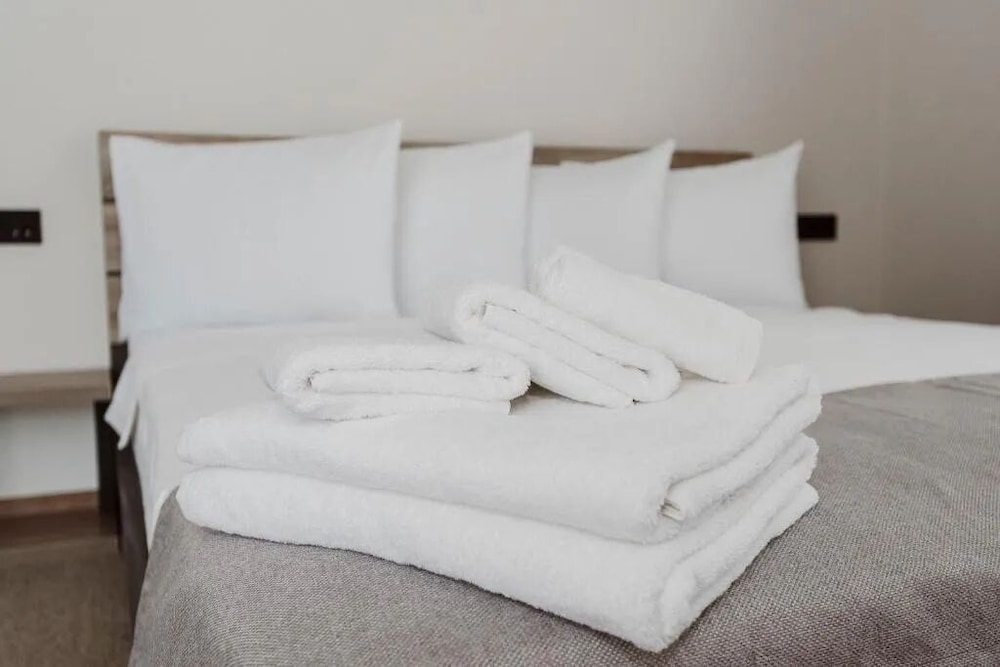 Hotel Piont Vert