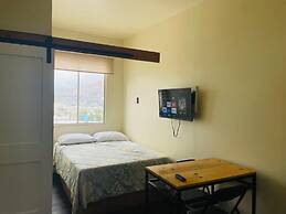 Estudios Pinos