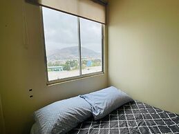 Estudios Pinos