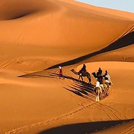 Desert Camel Trekking Camp