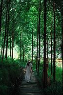 Alor Valley. Sichuan Ya'an