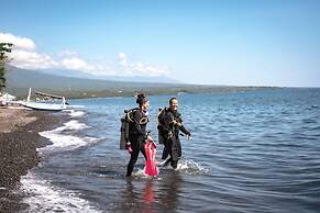 Salty Breeze Amed