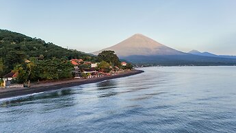 Salty Breeze Amed