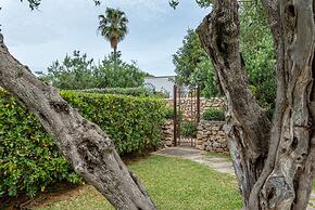 The Hidden Olive Gem by Wonderful Italy