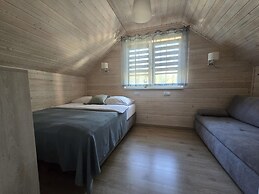 Comfortable Houses With Terraces