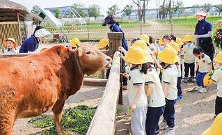 YAOJIA STRAW FARM RESORT ANJI