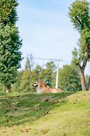 YAOJIA STRAW FARM RESORT ANJI