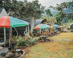Catur Glamping Bedugul