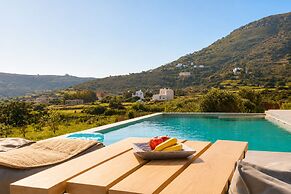Andros Royal Villa With Private Pool
