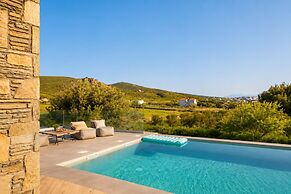 Andros Royal Villa With Private Pool