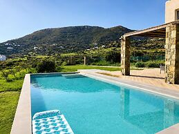 Andros Royal Villa With Private Pool