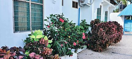 Primavera Jambiani