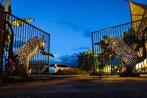 Kilimanjaro Luxury Camp