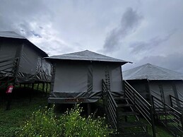The Auli Meadows
