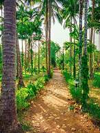 Natures Nest Goa