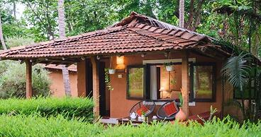 Natures Nest Goa