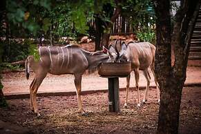Bush Break Marloth Park