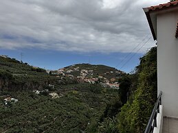 Wolf Villa