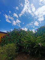 The Dreamcatcher House