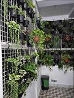 The Green Homez