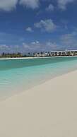 Rooftop Jacuzzi Condo Free Airport Transfer