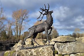 Host Stay Stag Lodge