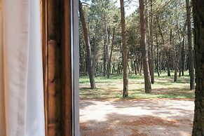 Safari Beach & Camping