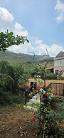 Nirmala's Farm House