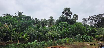 Nirmala's Farm House