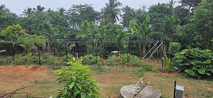 Nirmala's Farm House