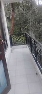 Shimla Forest View Green Hotel