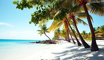 LOS CORALES del Mar STUDIOS & SUITES SPA