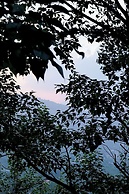 Aarohan - By Shivaneel Hospitality