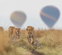 Safari your way kenya
