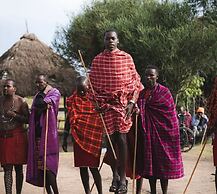 Safari your way kenya
