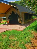 Safari your way kenya