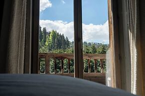 Exceptional 12P Chalet With Sauna and Jacuzzi