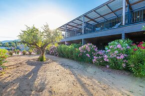 Sun-drenched Corsican Flat