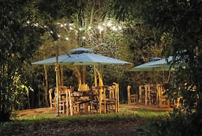 The Treetops Lodge