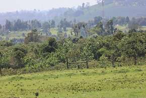 The Treetops Lodge