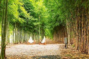 Rest Time Bamboo