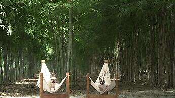 Rest Time Bamboo