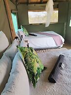 Letaba Trails Camp- Greater Kruger