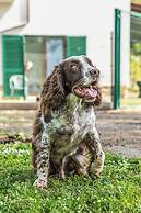Podere Pala - Pet Friendly