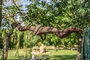Podere Pala - Pet Friendly