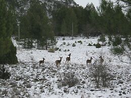 AIRE Turismo Rural
