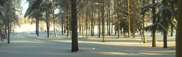 Lapland Northern Lights Hotel Ilveslinna
