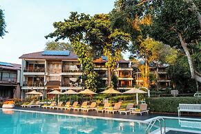 Birds and Bees Resort